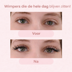 The Magnetic Lashes